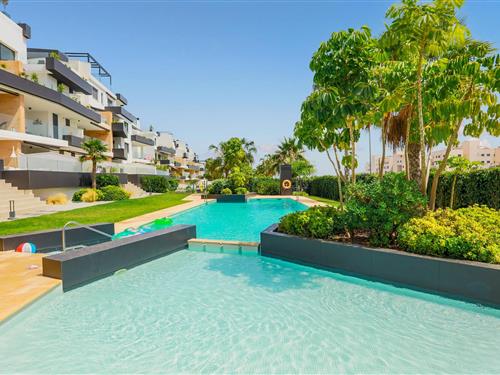 Holiday apartment - 6 persons -  - Avenida de Montezenia - Orihuela Costa - 03189 - Orihuela