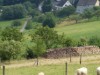 Bild 15