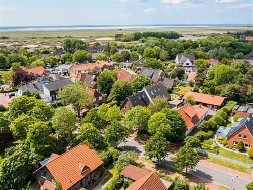 Ferienhaus - 4 Personen -  - Heedweg - 25826 - St. Peter-Ording