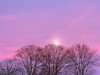 Bilde 14
