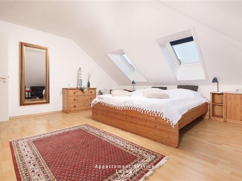 Holiday apartment - 4 persons -  - Dampferweg - 24235 - Laboe