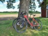 Bild 19