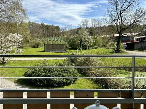 Ferielejlighed - 6 personer -  - Gebhardsweiler - 88690 - Uhldingen-Mühlhofen