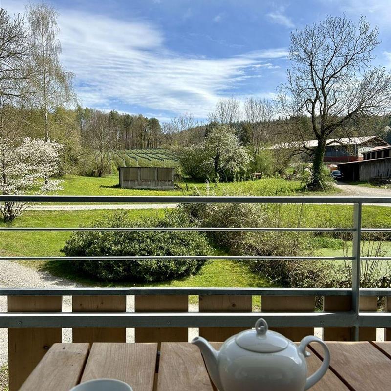 Ferielejlighed - 6 personer -  - Gebhardsweiler - 88690 - Uhldingen-Mühlhofen