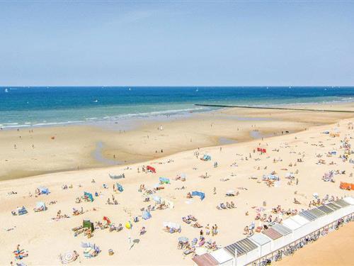 Holiday apartment - 4 persons -  - Zeedijk 168 - - 8400 - Oostende