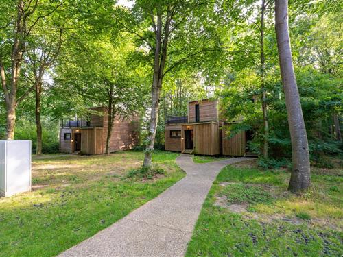 Hytte - 4 personer -  - 7640 - Antoing