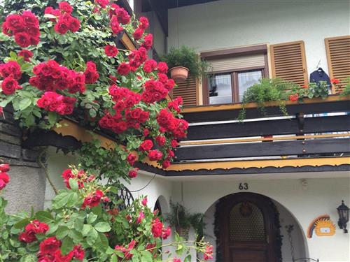 Holiday Home/Apartment - 5 persons -  - Assach-Oberdorf - 8966 - Aich-Assach