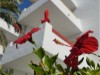 Bilde 8