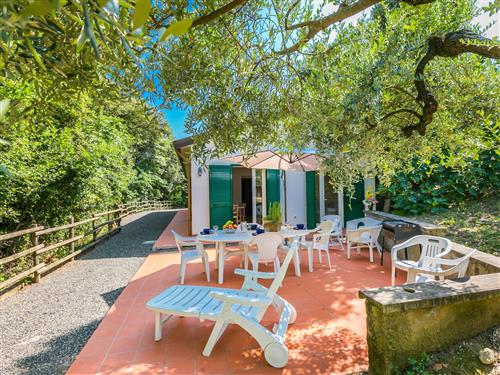 Ferienhaus - 7 Personen -  - Castiglioncello - 57016