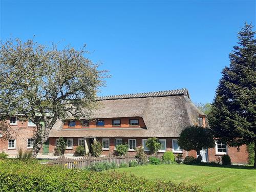 Ferieleilighet - 2 personer -  - Fördestraße - 24977 - Westerholz