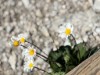 Bild 24 - Aussen