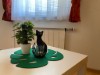 Bild 40