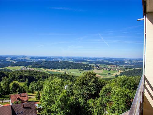 Semesterhus/Semesterlägenhet - 3 personer -  - 94078 - Freyung