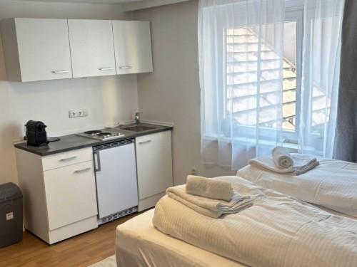 Holiday apartment - 2 persons -  - Gmunden - 4810
