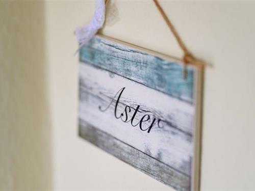 Semesterlägenhet - 2 personer -  - Kurstraße - 18181 - Graal-Müritz