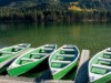 Billede 12