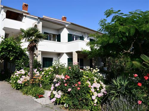 Ferielejlighed - 4 personer -  - Banjol - 51280 - Rab