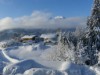 Bild 17