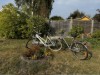 Bild 41