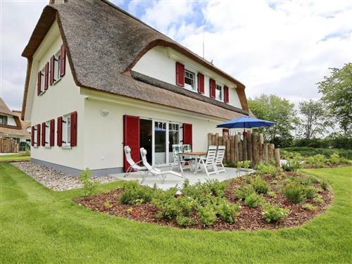 Sommerhus - 6 personer -  - Boltenhagen - 23946