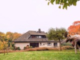 Objekt Nr.: 530-821334
