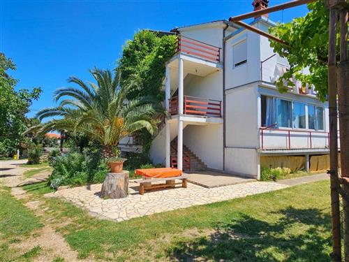 Ferieleilighet - 3 personer -  - Buzinija - 52466