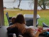Bilde 13