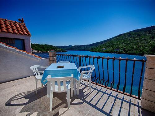 Holiday apartment - 2 persons -  - 20290 - Lastovo