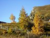 Bild 48