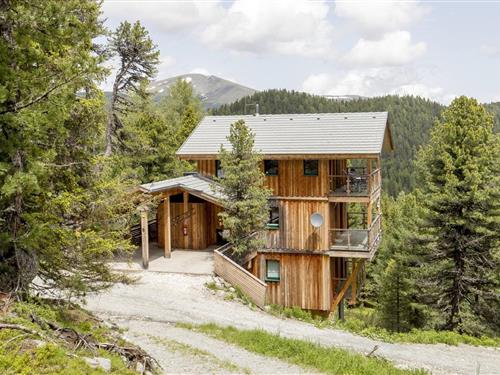 Chalet - 12 personer -  - 8864 - Turracherhöhe