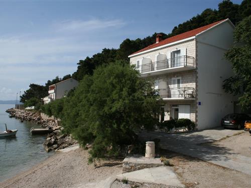 Feriehus / leilighet - 4 personer -  - Trstenik - 20245 - Trstenik