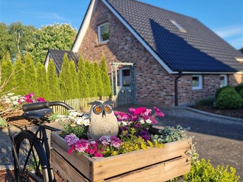 Ferielejlighed - 4 personer -  - Wehrtannenstraße - 26906 - Dersum