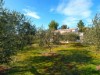 Image 1 - Outside