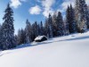 Bild 18