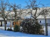 Bilde 17 - Ude