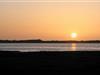 Billede 24