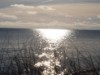 Bild 17