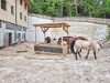 Bild 32 - Ude
