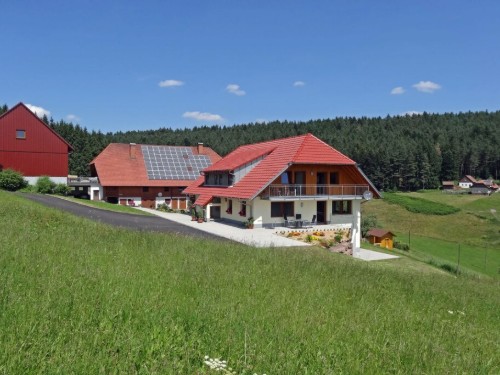 Sommerhus - 2 personer -  - 78144 - Tennenbronn