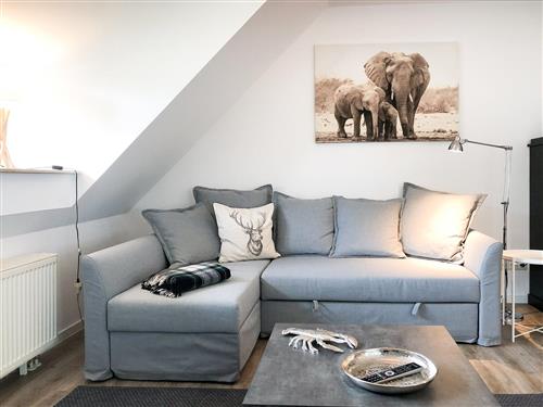 Ferielejlighed - 2 personer -  - Bliesenrader Weg - 18375 - Born A. Darß