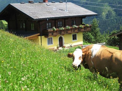 Semesterhus/Semesterlägenhet - 4 personer -  - Mühlbach - 5505 - Mühlbach Am Hochkönig