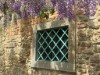 Image 29 - Outside