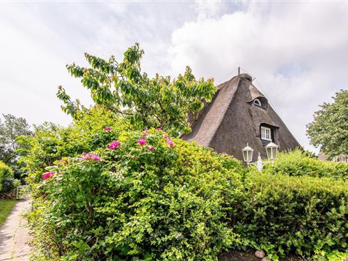 Sommerhus - 6 personer -  - Westerhörn - 25980 - Keitum