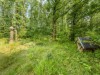 Billede 29 - Grund