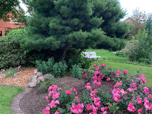 Feriehus - 4 personer -  - Bäckerstr. - 21385 - Amelinghausen