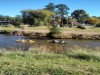 Billede 39