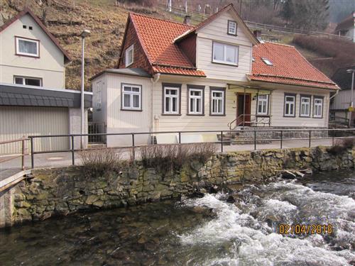 Holiday Home/Apartment - 8 persons -  - Innerste Str. - 38709 - Wildemann