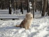 Bild 46
