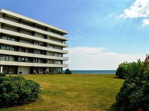 Ferielejlighed - 2 personer -  - Am Hohen Ufer - 23775 - Großenbrode