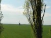 Billede 29